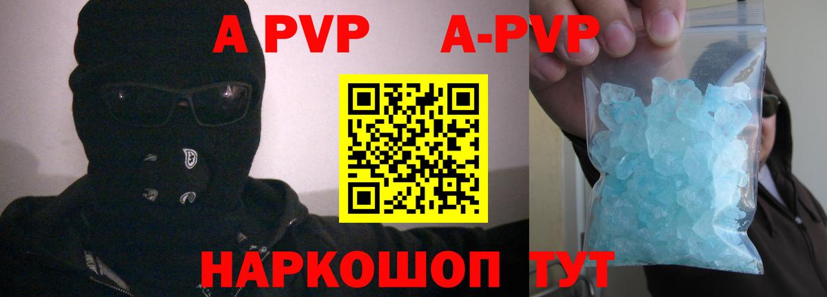 A PVP СК  Вход с VPN  Луга  Альфа ПВП СК 