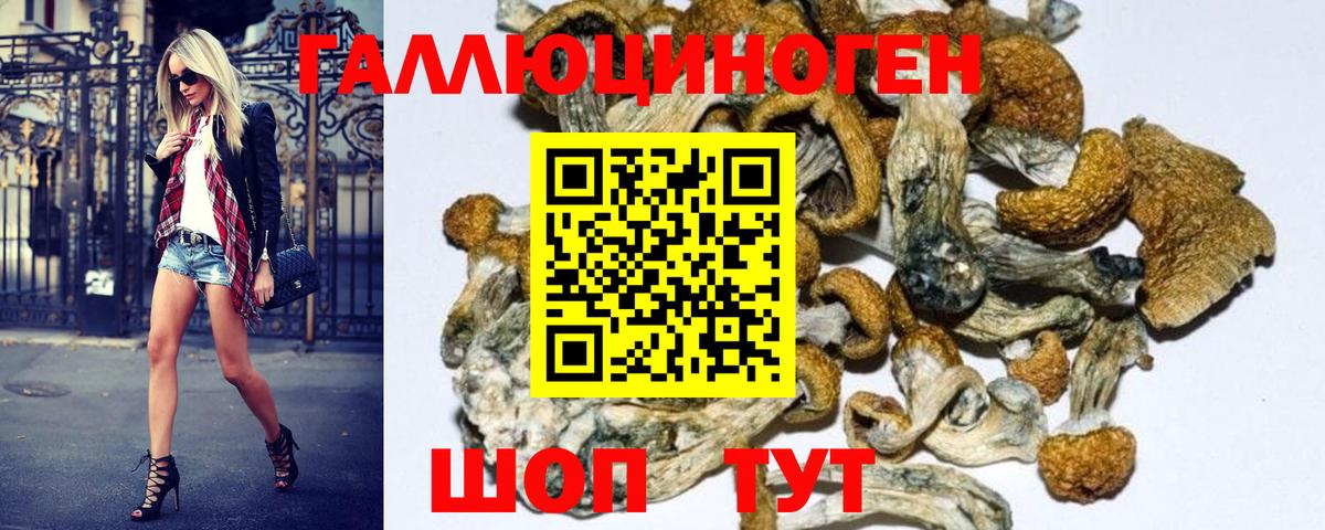 Псилоцибиновые грибы ЛСД Луга